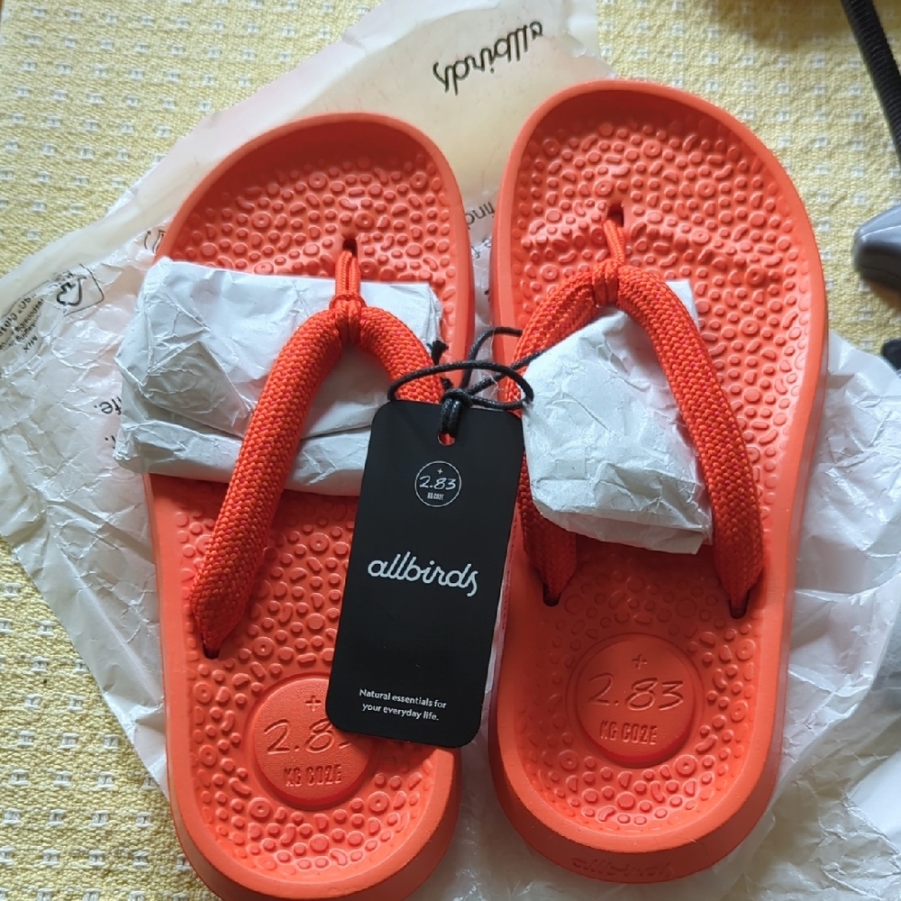 Allbirds Orange Flip Flops